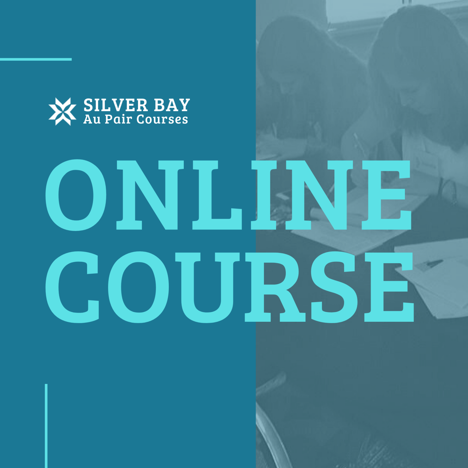 Online Courses Silver Bay Au Pair Courses